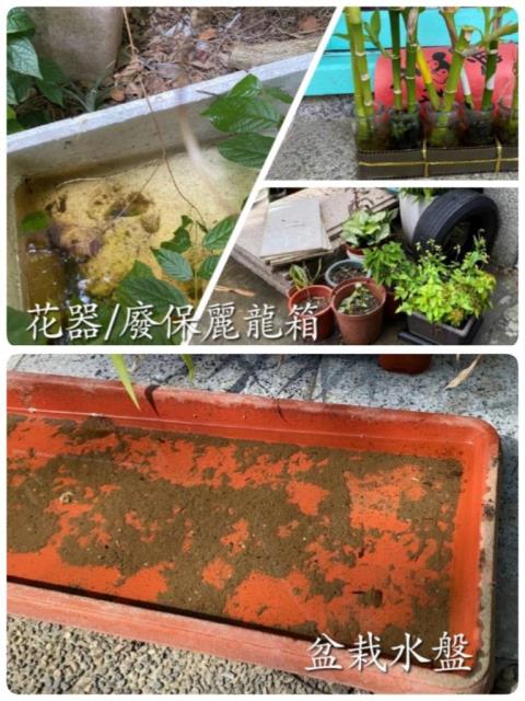 顯示圖檔照片