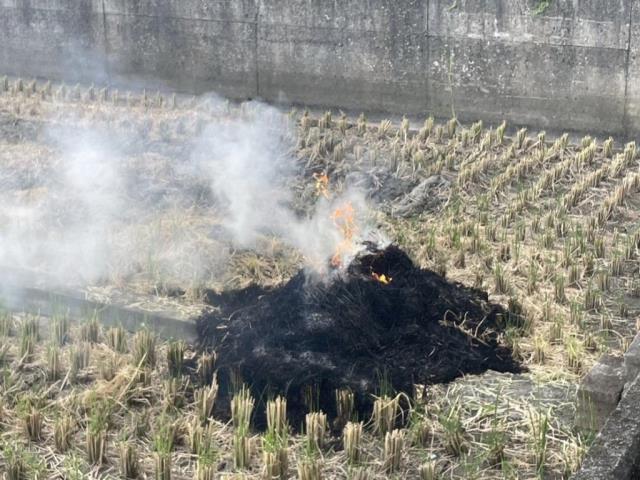 顯示圖檔照片