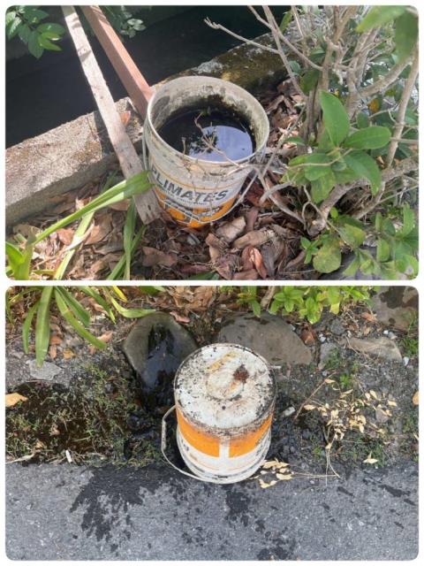 顯示圖檔照片