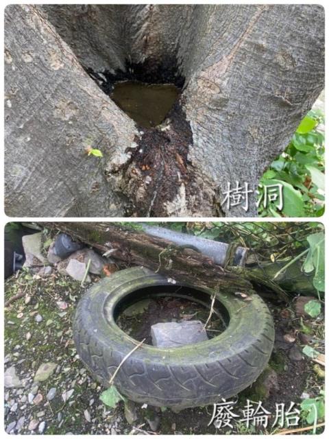 顯示圖檔照片